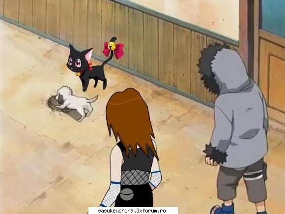 rate  the image above you
