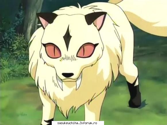 pisicuta ei ... kirara ...  :hi:  ....  :rotfl:  :rotfl:  :rotfl:  ... crd ca se potriveszc e o